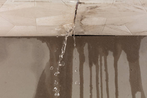 Professional Burst Pipe Cleanup technician working in Sublimity, OR